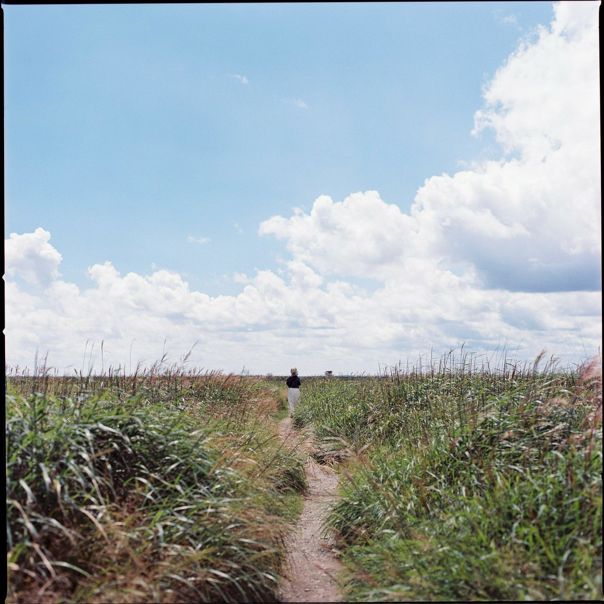 Jan.3
#Hasselblad500CM