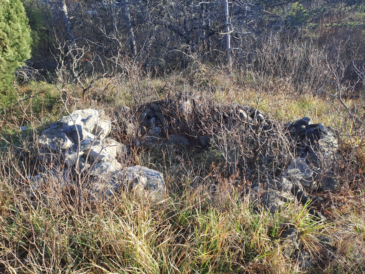 bertoli1966's tweet image. Italian positiond in the Monfalcone area near the Lisert canal.
Right opposite Monte Ermada.