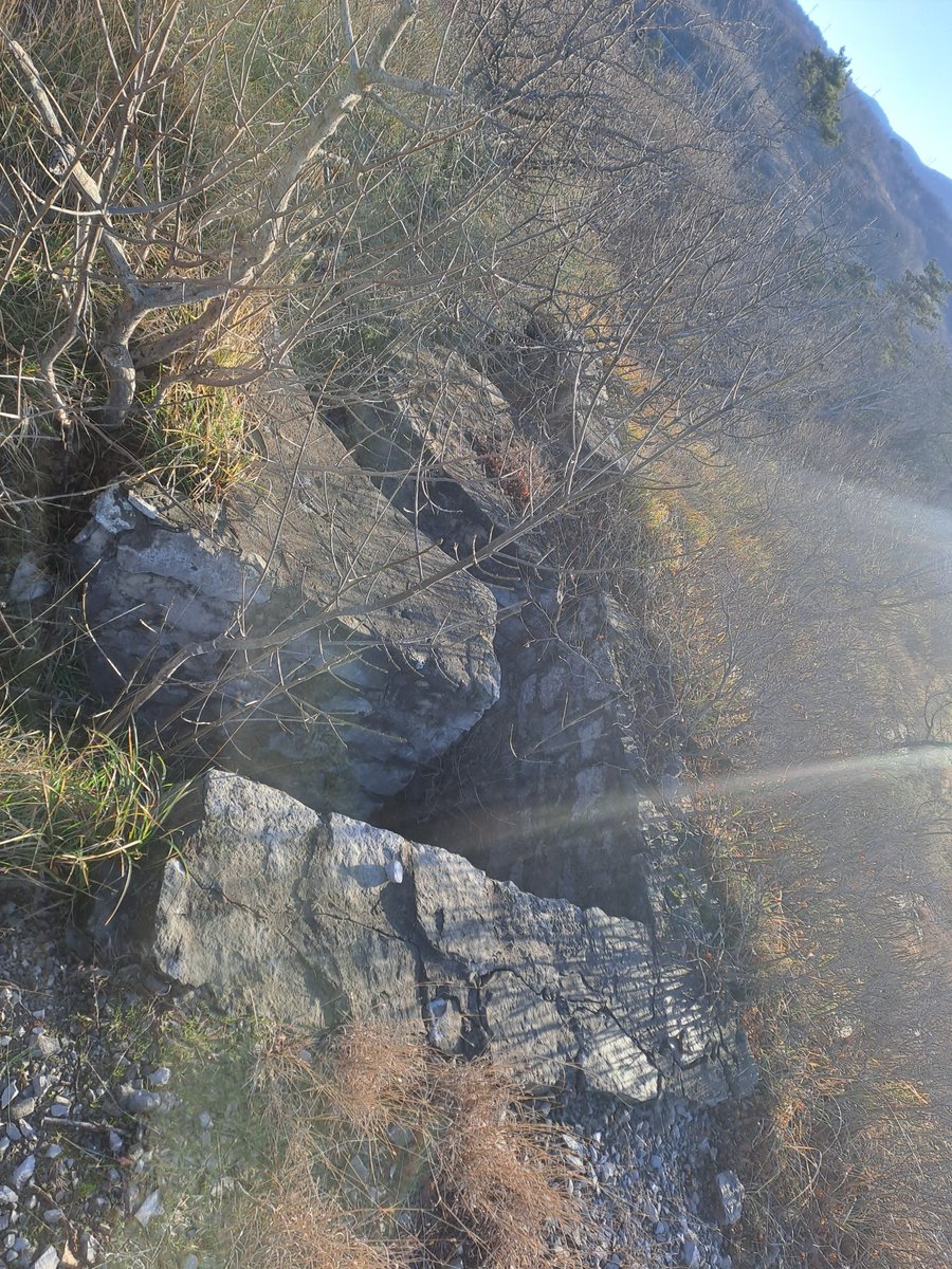 bertoli1966's tweet image. Italian positiond in the Monfalcone area near the Lisert canal.
Right opposite Monte Ermada.