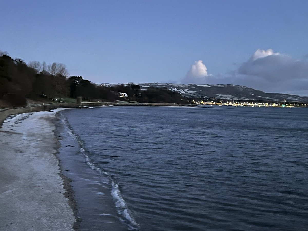 Adrian Boyd tweet media