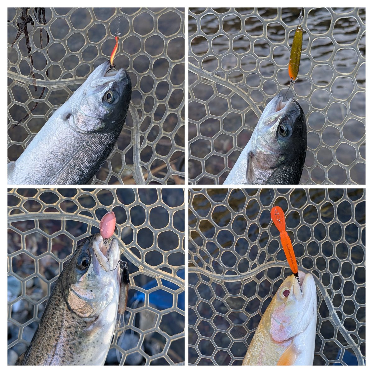 りんごのパパ (@ringonopapa) / Posts / X