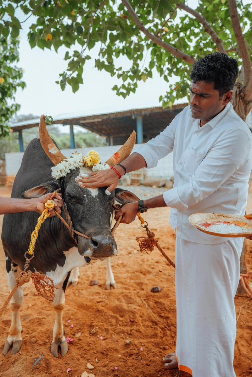 K.Annamalai tweet media