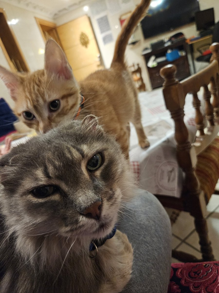 Altecc 🇲🇦 tweet media