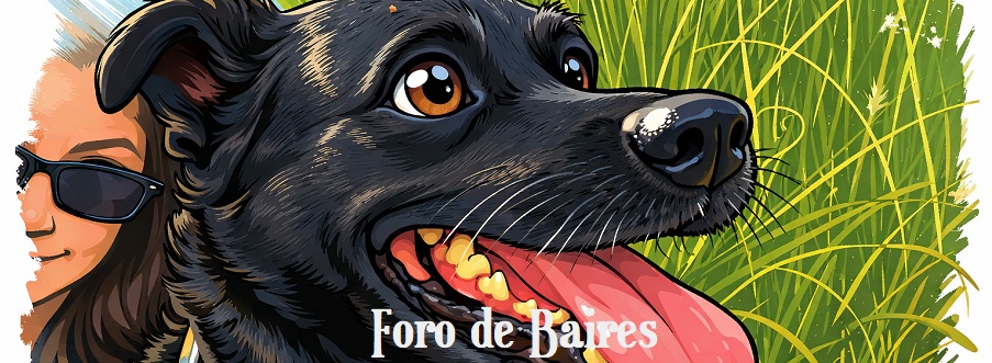 forodebaires's tweet image. Los perros también pueden sufrir insomnio por estrés - Haga clic ver también ☛  forodebaires.com.ar/los-perros-tam… a través de @forodebaires