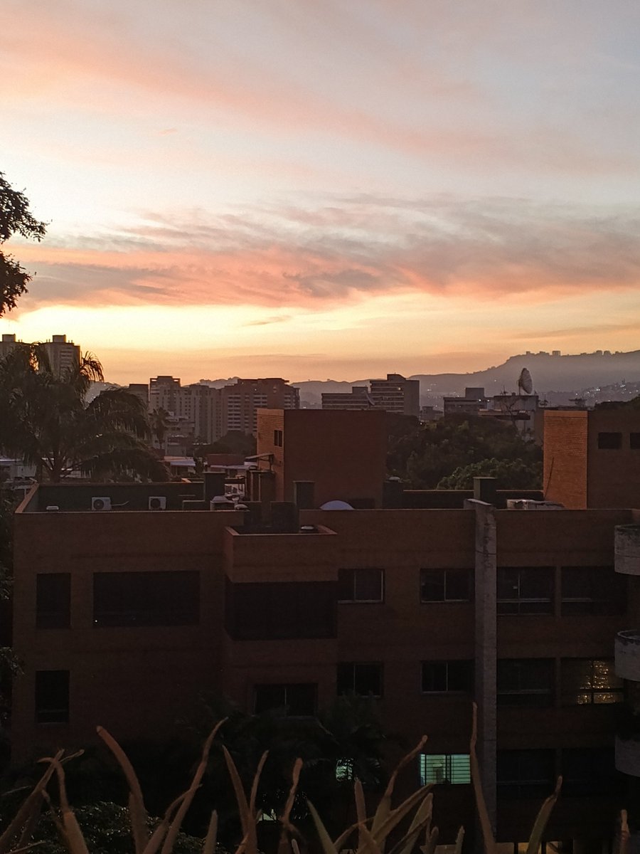 Roberto Casanova tweet media