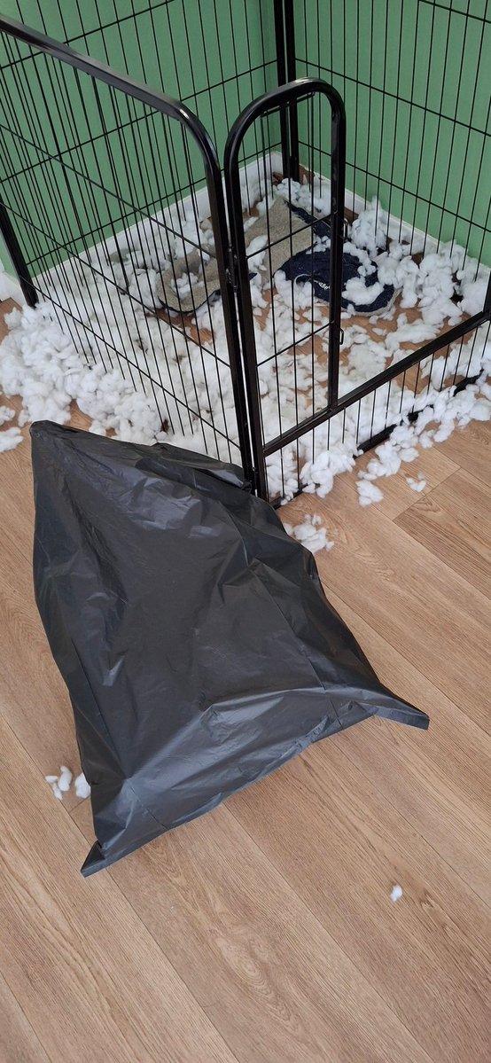 Het sneeuwt binnen ook! Zucht 🙈
#puppyspam