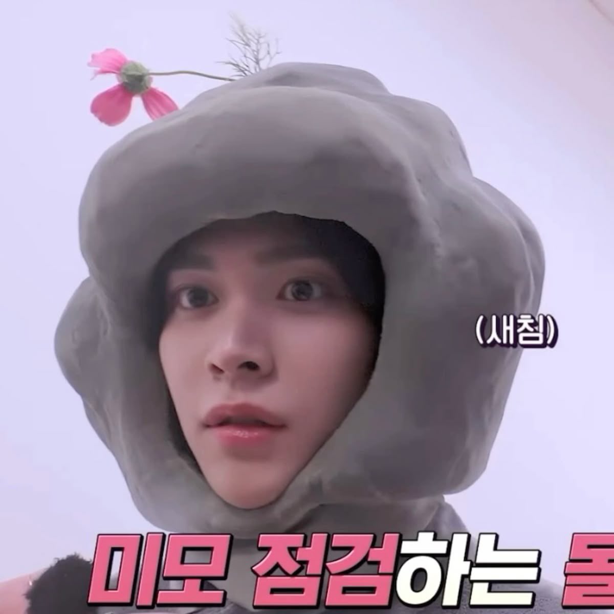 Post by ちょこ on X: 🌱🌸