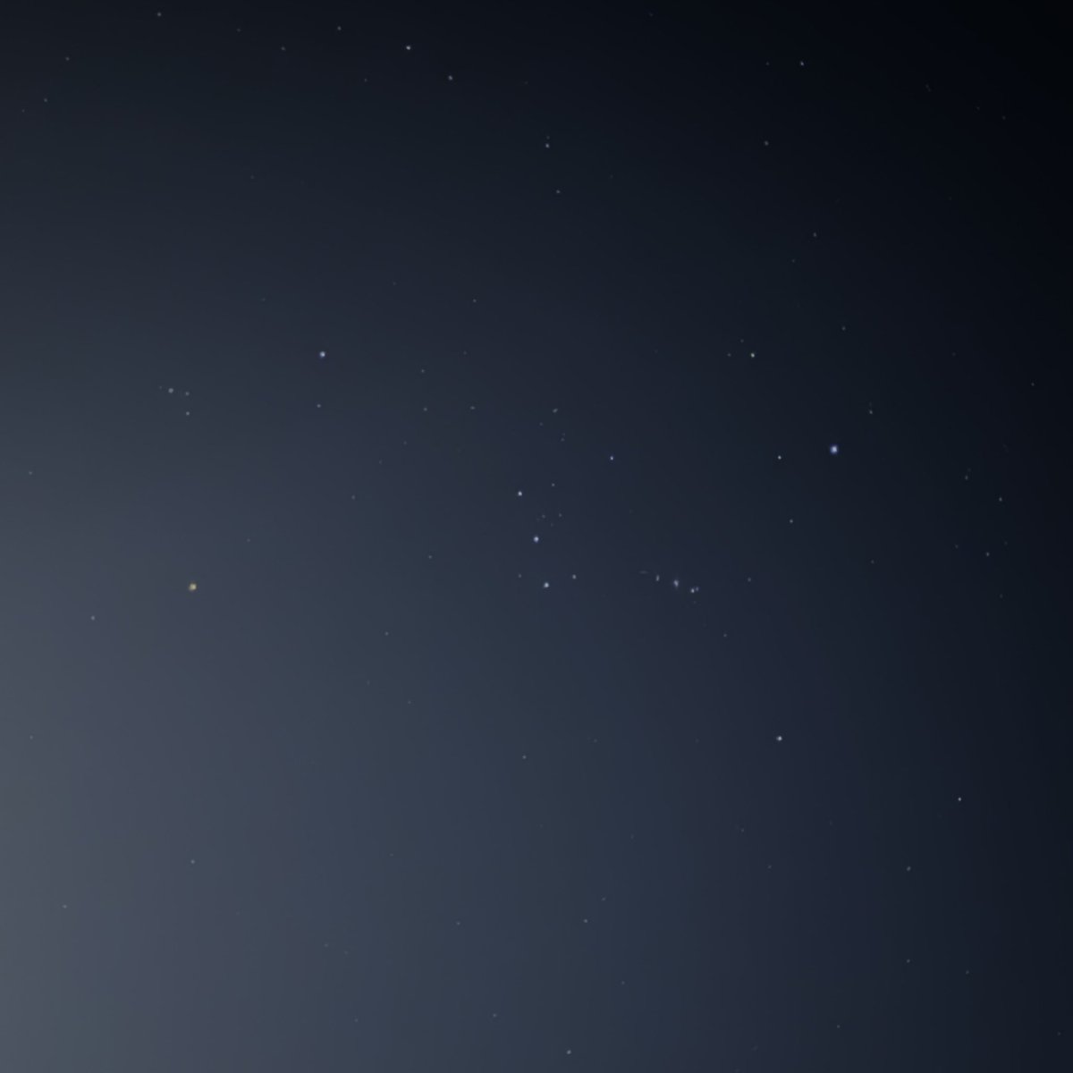 별자리투어 갔다와서 찍은 오늘의 오리온