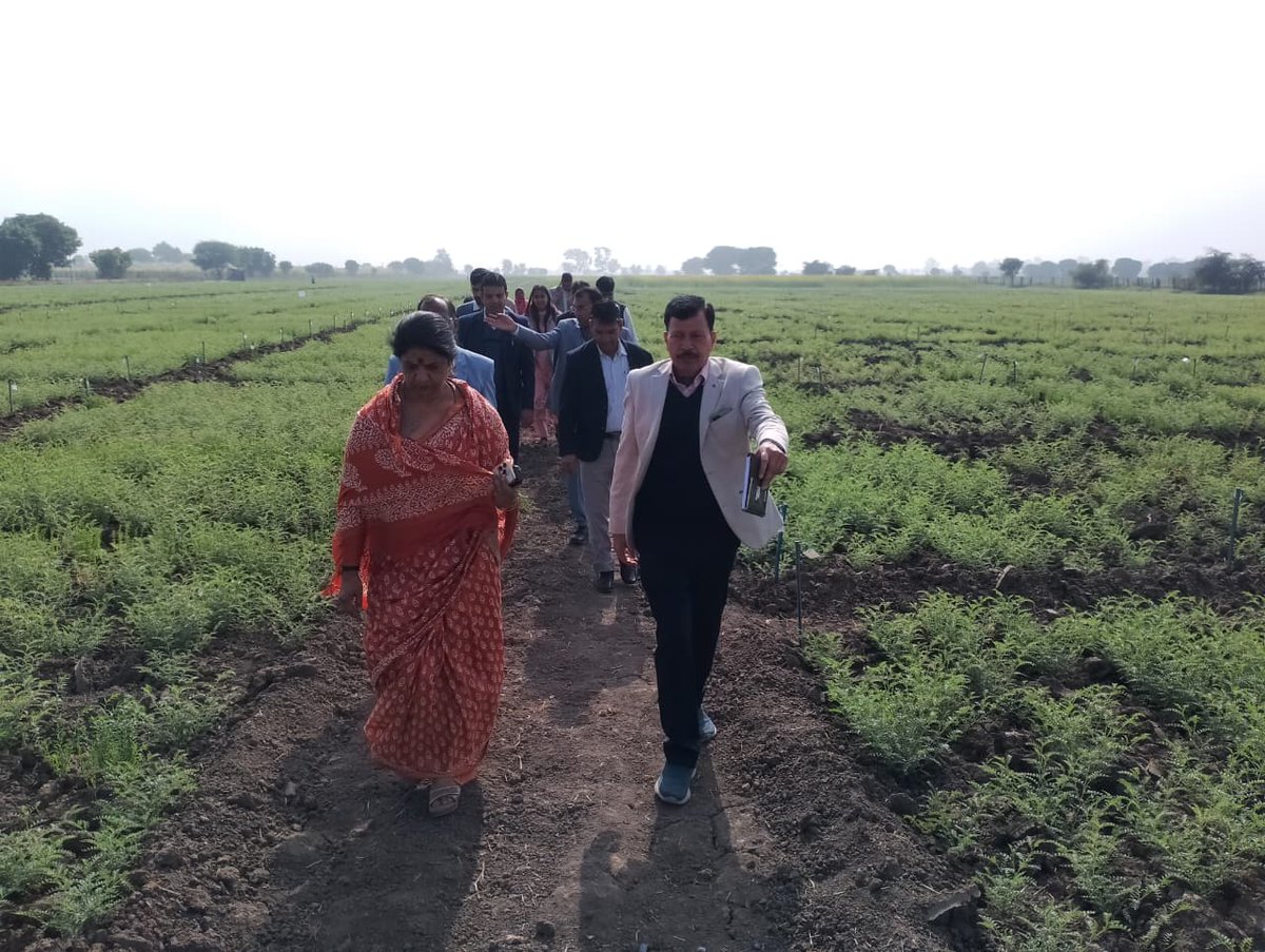 कुलगुरू महोदया ने की वैज्ञानिकों से खेत पर चर्चा