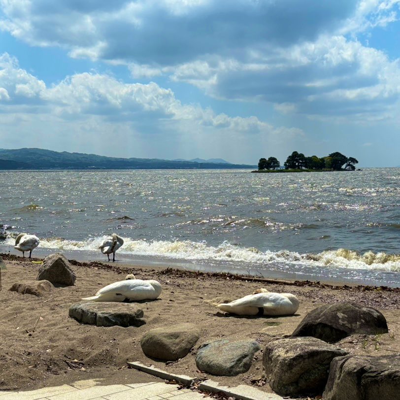 ✨2026年✨
🌅明けましておめでとうございます🐎
旧年中は大変お世話になりました！
今年もよろしくお願い申し上げます🙇‍♀️❣️

新年っぽい写真が見当たらないので、山陰の大山と宍道湖を！