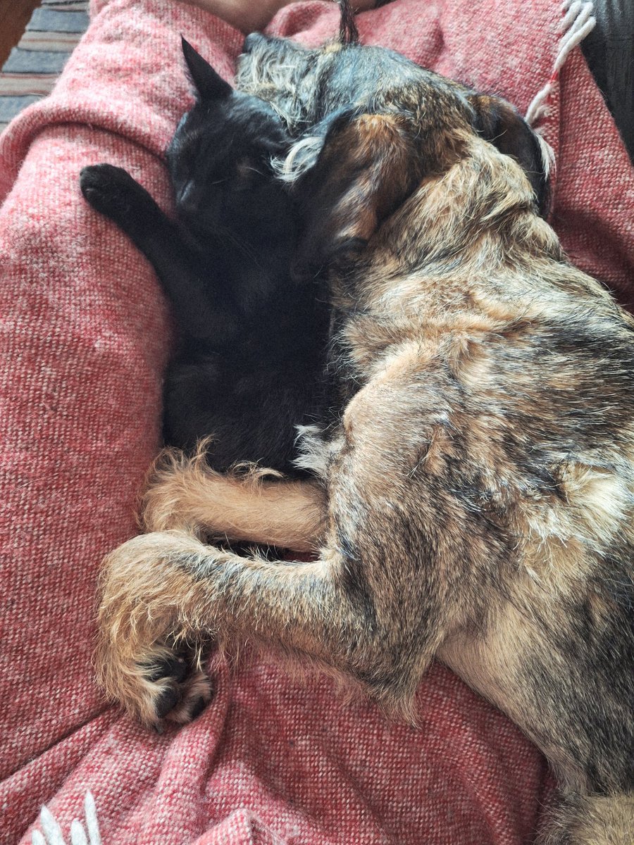 Гаспид і його любима подружка