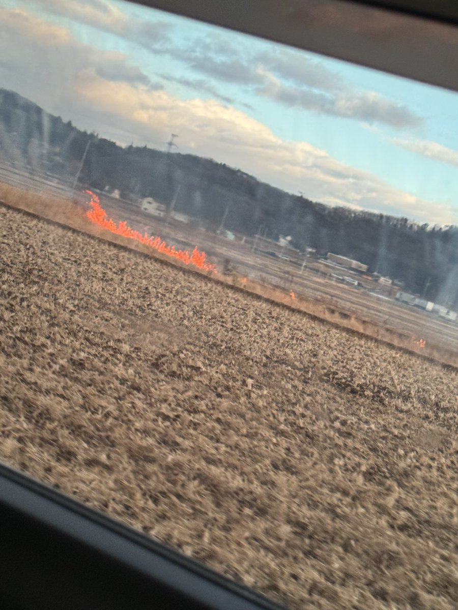 sin467's tweet image. 火事かと思ったら稲燃やし🔥
いいのかな？
消防車と警察もきてた👮🚓🚨"