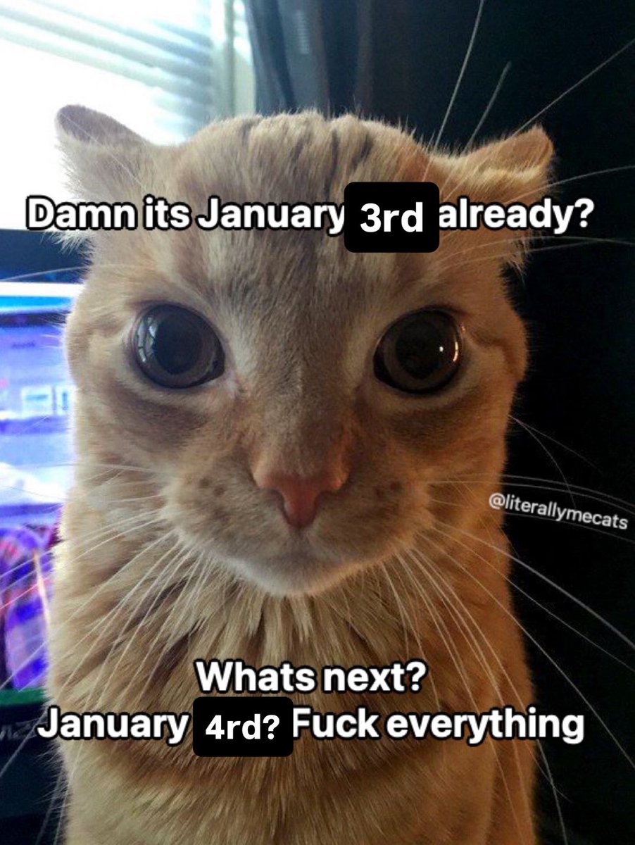 literallymecats's tweet image. 