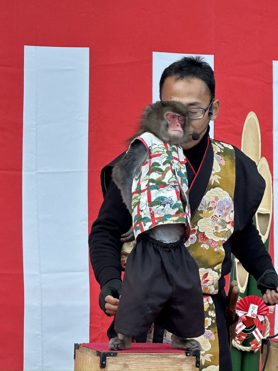 初詣行ったら猿回ししてた🐒