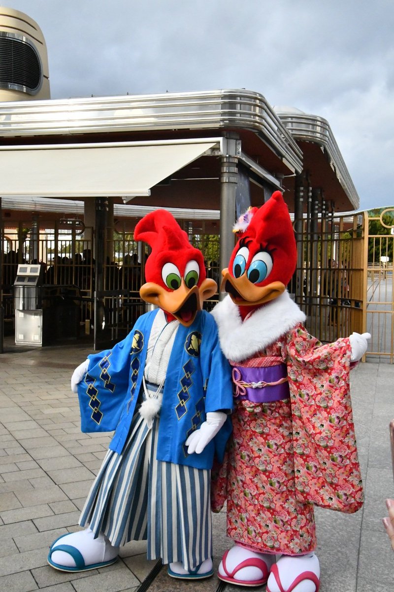 ぶんちゃん🍖🍖🍖 (@takanamibunchan) / Posts / X