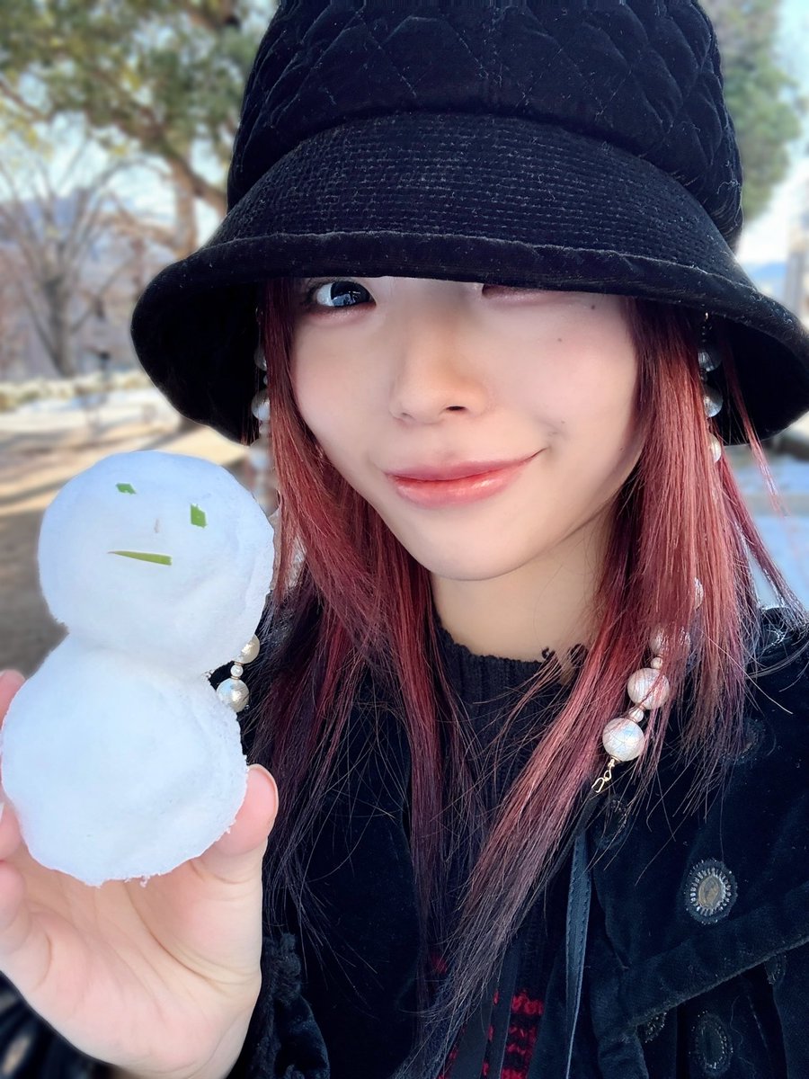 初雪で雪だるまを作るなどした(この数十秒後に姪っ子に笑顔でこの雪だるまがぶち壊されます)