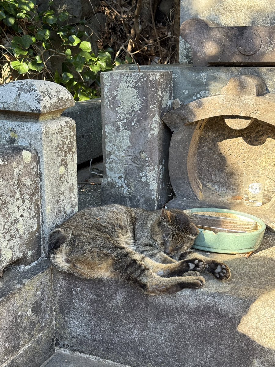 ショップ❤エミリン【プロフ確認のお願い】ページ＊ エミリン様