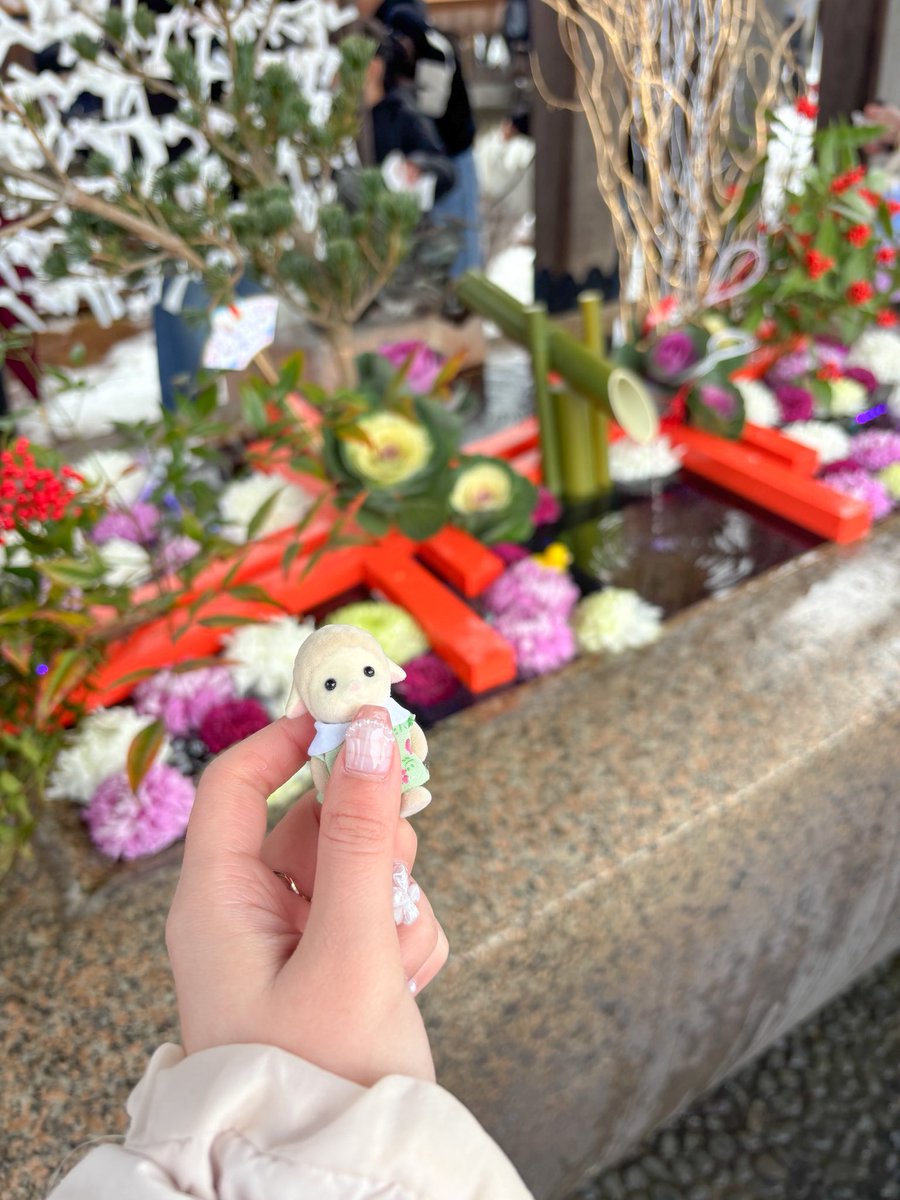 あやたぴ tweet media