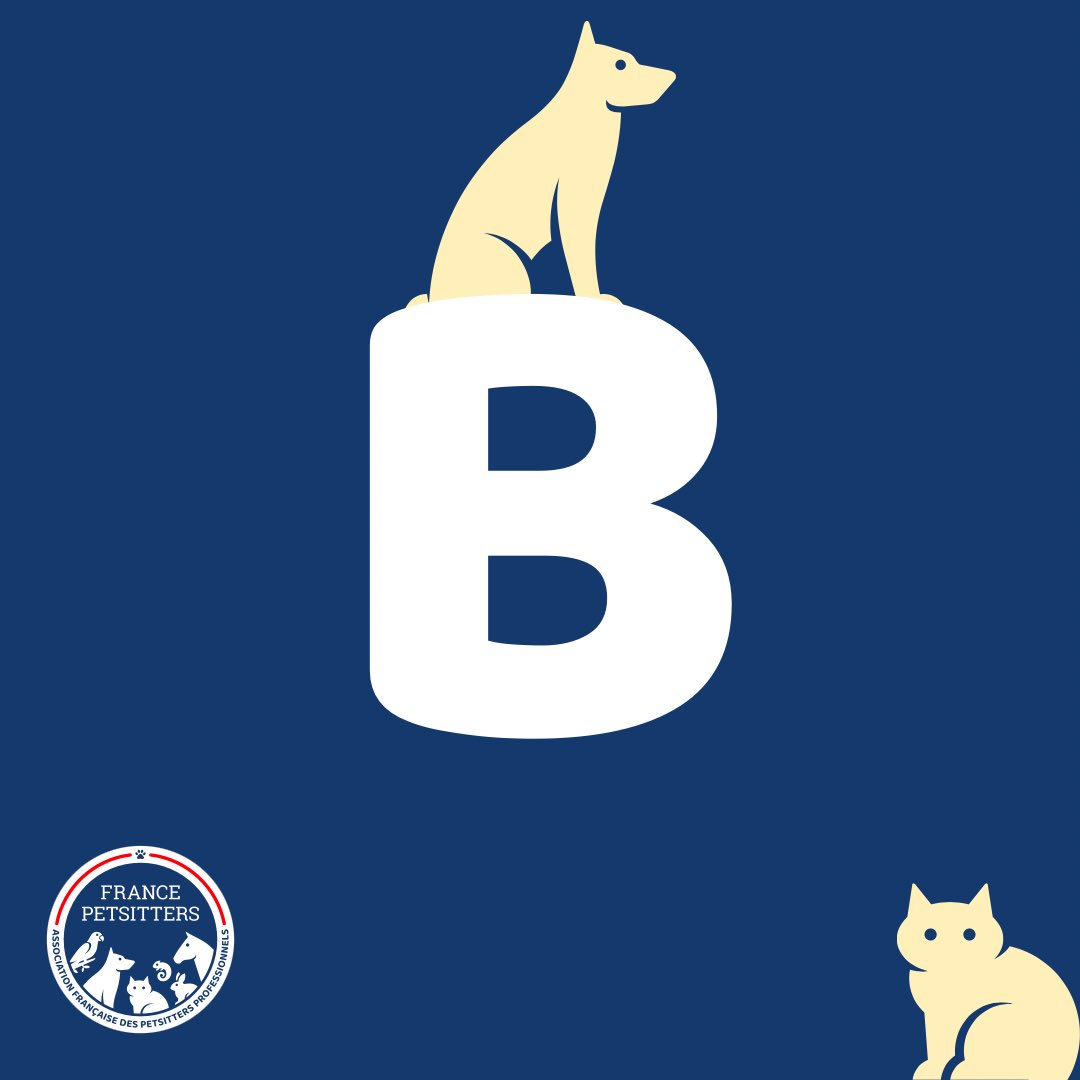 ℹ️ C’est l’année du « B » en 2️⃣0️⃣2️⃣6️⃣ pour nommer vos nouveaux petits compagnons ! 🐕 🐈 🐇🦜

100 ans cette année, cette « tradition » a été instaurée en 1926, par la Société Centrale Canine.