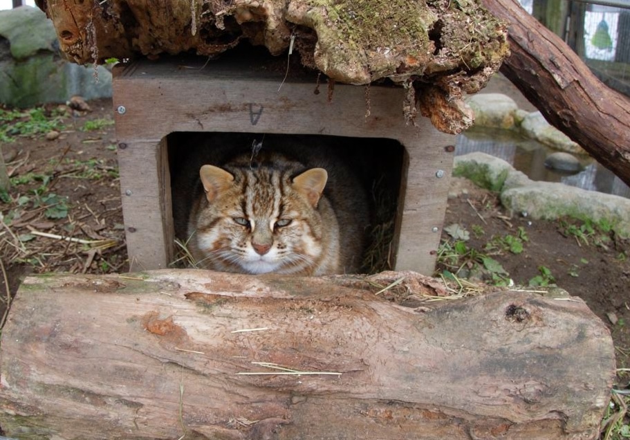 kana (@kana46442442) / Posts / X