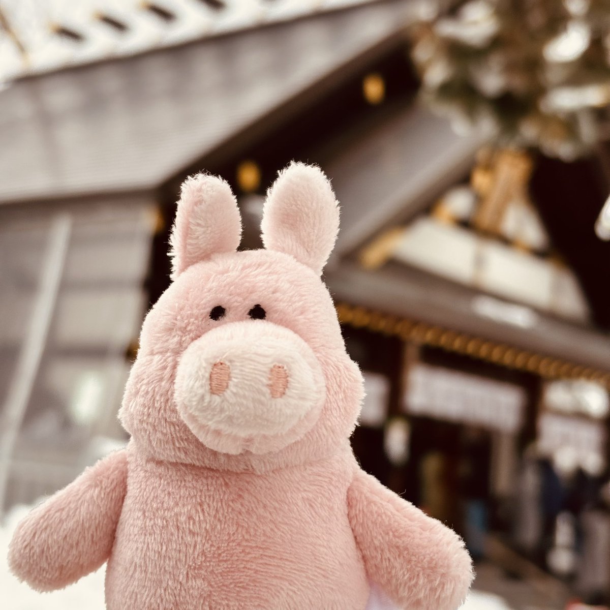 とみたけ🎗️🧡MeseMoa.(めせもあ。) (@tomitake723) / Posts / X