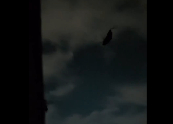 echomercc's tweet image. why are we getting dragged into another war without the consent of congress ? wtf is congress even for atp if POTUS is just gonna cuck them and go around ....