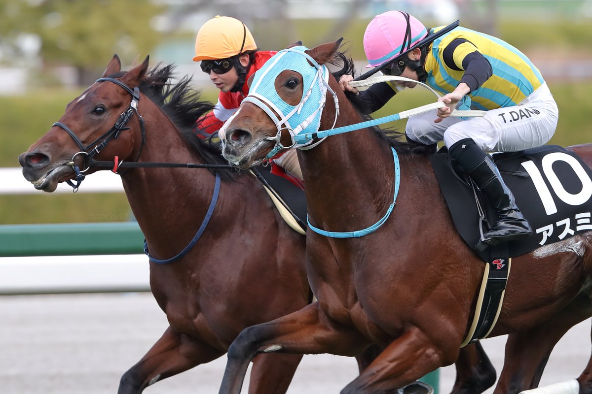 2025年12月27日（土）阪神競馬場

☆9R🥇万両賞
アスミルと団野大成騎手

アスミルの父、ダノンプレミアムの繋養先はアロースタッド🐴兵庫県競馬ゆかりのイグナイターやポアゾンブラックと同じ繋養先ですね😊