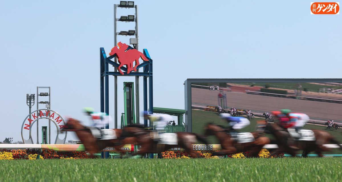 gendai_keiba's tweet image. 【あす、始めて競馬場へ行こうと思う方へ】
４日、２０２６年の中央競馬が開幕します。
昨年のドラマ「ザ・ロイヤルファミリー」を見て、〝競馬場に行ってみよう〟が芽生えた方も多いかと思います。そこで、ご家族、友人等と行かれる競馬初心者の方へ少し観戦のアドバイスを。…