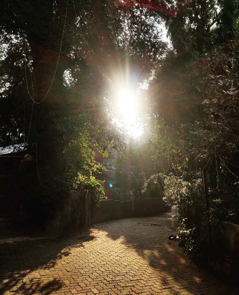 Bingo_mk's tweet photo. Photo Challenge: #lightandshadows

QP or share a shot with #light or #shadows being the star! https://t.co/DsBfRTUJ0R