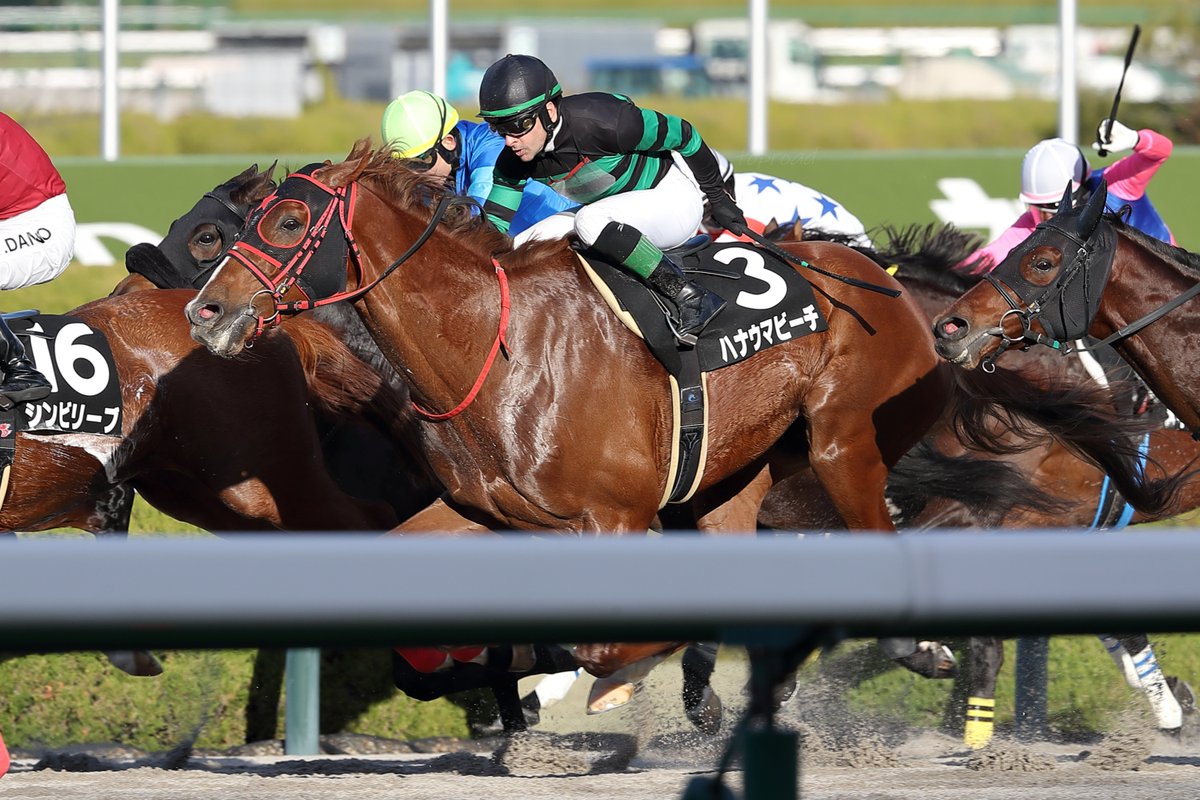 2025年12月27日（土）阪神競馬場

☆10R🥇摩耶ステークス
ハナウマビーチとＣ・ルメール騎手

リトルハピと高杉吏麒騎手
ワイドブリザードと武豊騎手
クァンタムウェーブとC・デムーロ騎手

ハナウマビーチは3連勝でオープン入りとなりました🎊