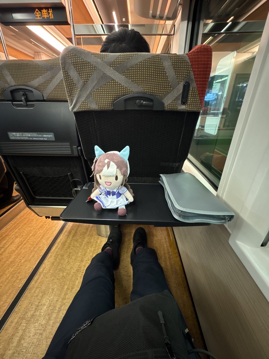 ■きっぷ まとめて 18きっぷでも乗れるらしいので乗ってみる