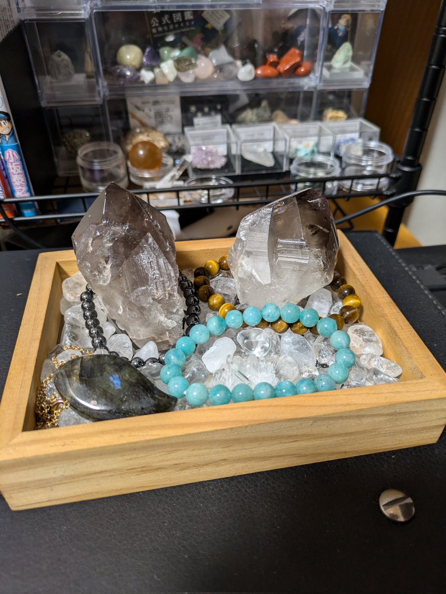 まにャ🚑️🍙▶箱推し tweet media