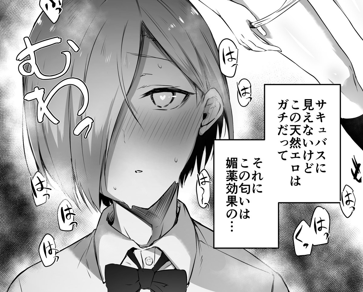 2月22日のコミティアで描く子(アイコンの子)はこの同人誌で描いた子の最新版の形になります。
昔はスレンダーな顔たちだったんですね…。
設定とかいろいろ変わってます(そもそも男のほうがサキュバスになりました) 