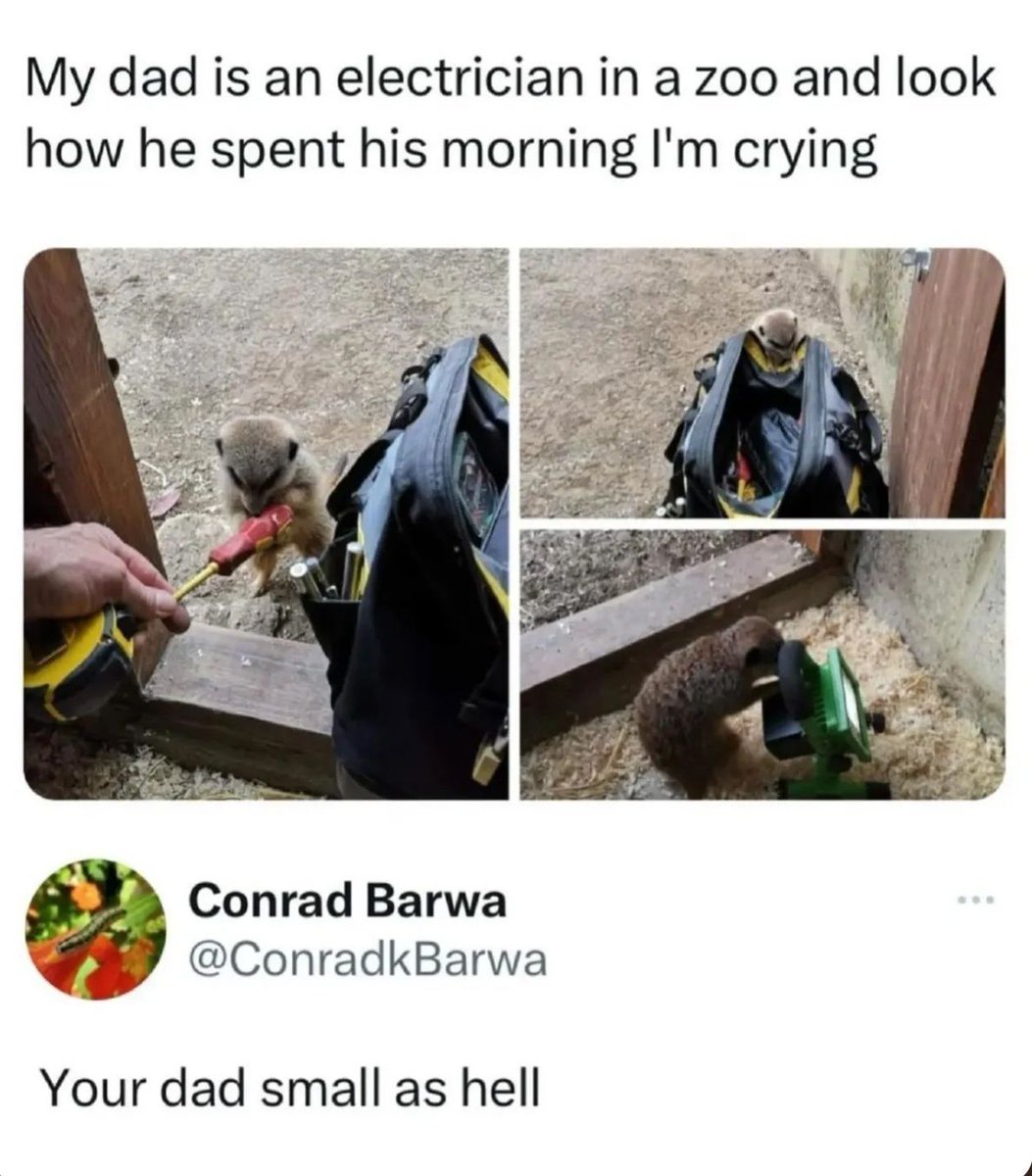 nocontextmemes's tweet image. 