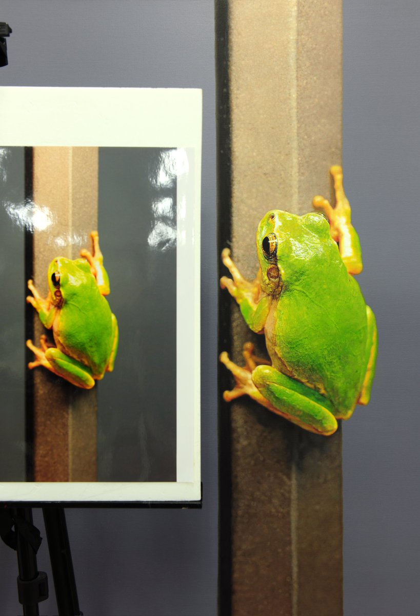 100vun's tweet photo. Photo vs Painting

#김영성 #극사실주의 #Youngsungkim #Hyperrealism #climatechange https://t.co/Ui0iGFA0Q2