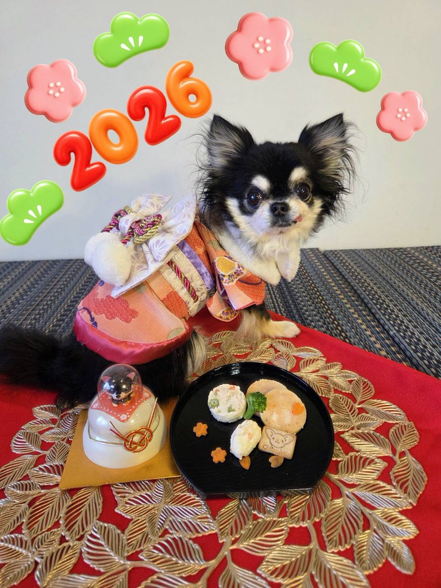 ZOO (@zoo_japan) / Posts / X