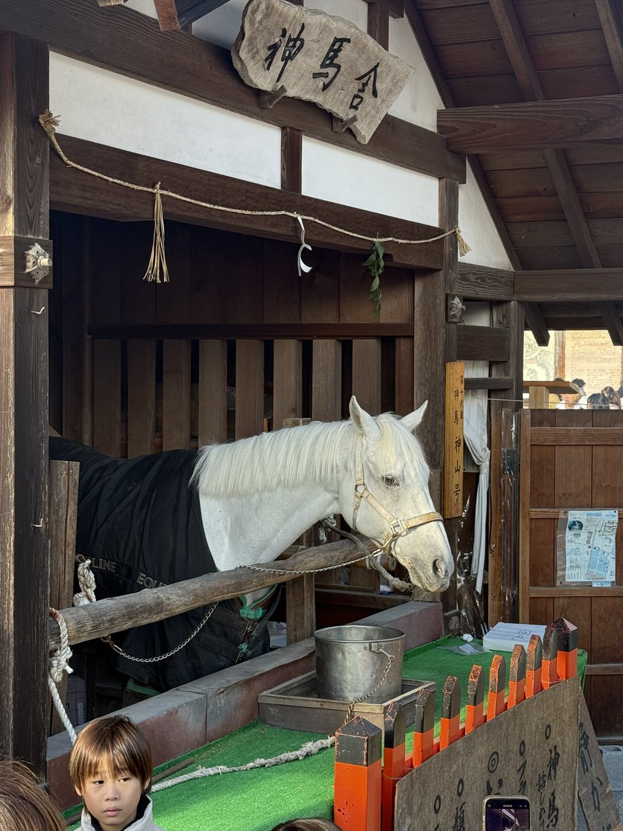 き*さ様 今月ラスト【ご祈祷付,オーダー形式⛩️✩.*˚】リピ様も可能です き*さ様 今月ラスト【ご祈祷付,オーダー形式⛩️✩.*˚】リピ