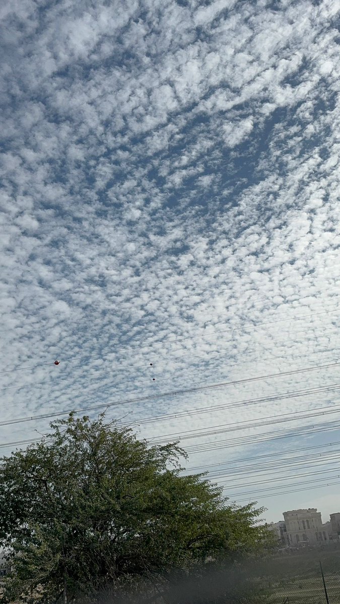 fahadkhaled_alo tweet picture