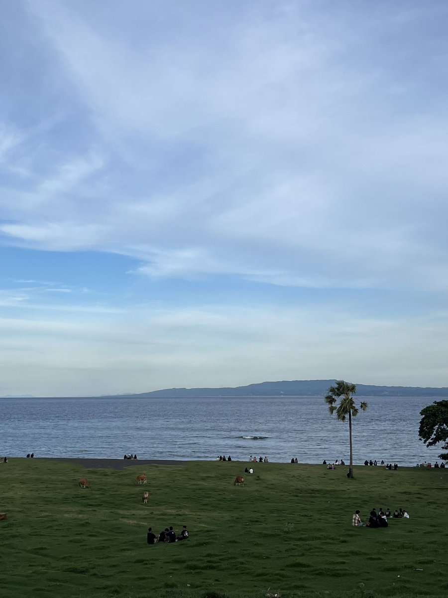 daywithshall's tweet image. slow livin’🍃⛰️🌊