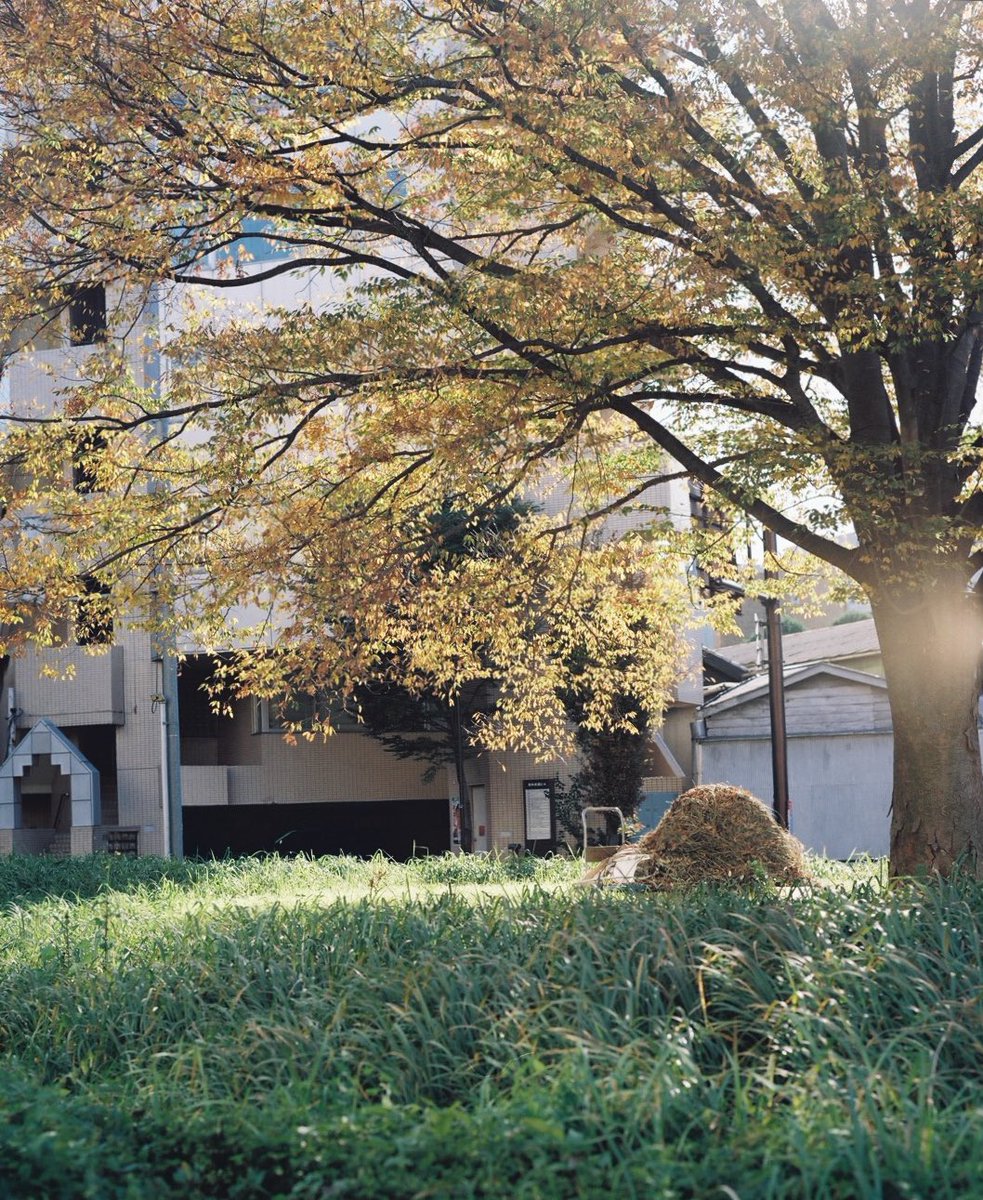 わだち tweet media