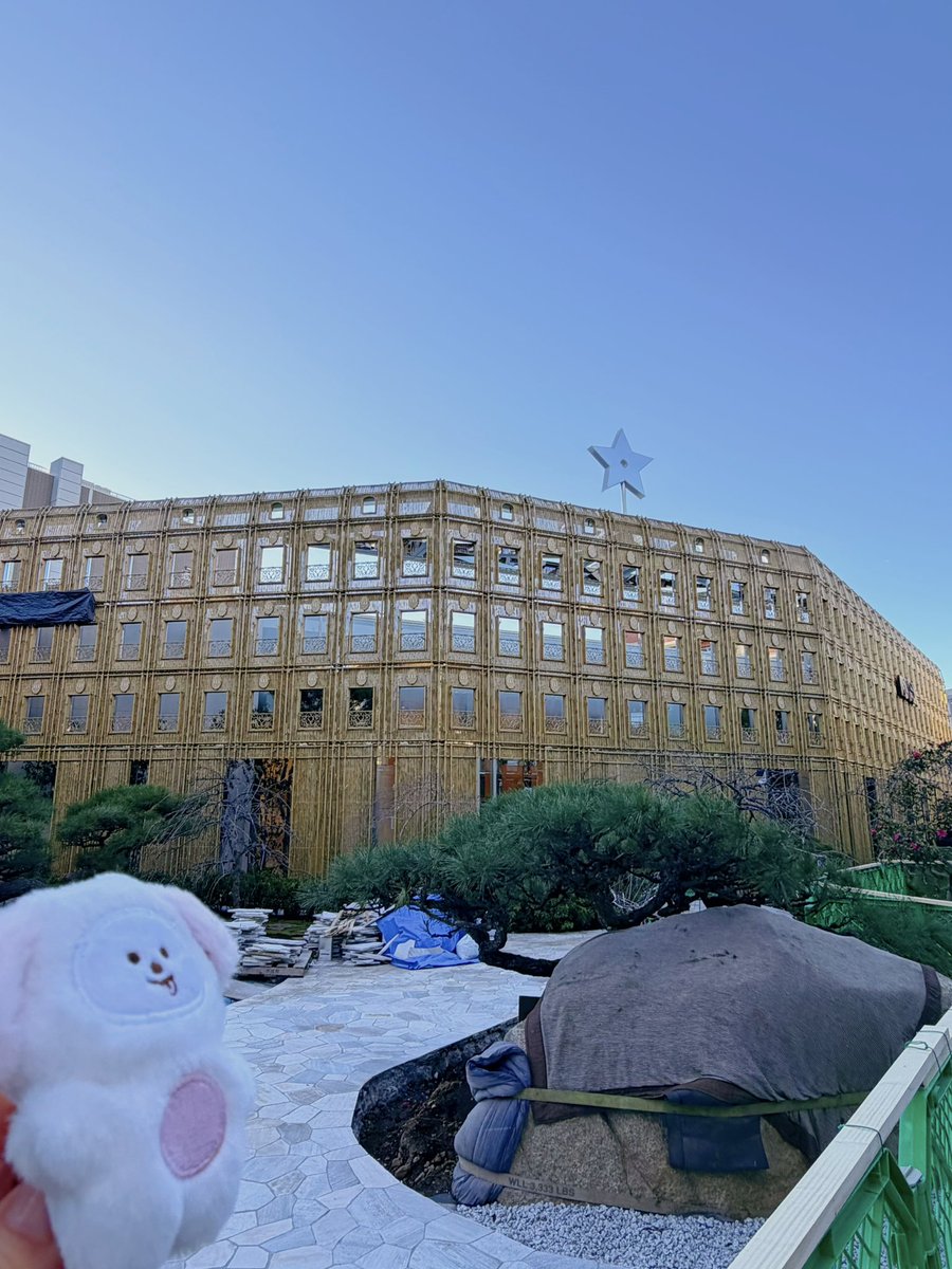 pom🐤 (@pom1365244) / Posts / X