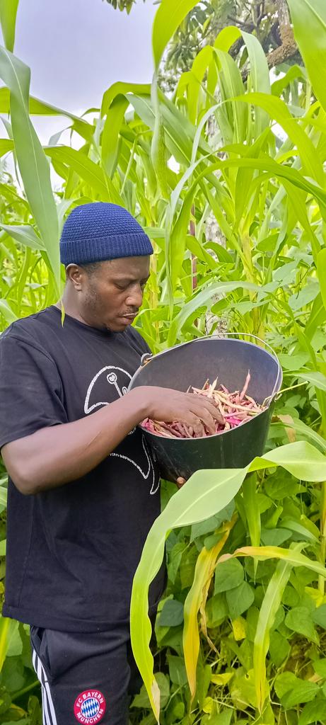 AbiluTangwa's tweet image. Oil will eventually run out.  
Gold will one day be fully mined.  
Money? We can always print more.  
But bees, trees, and clean water?  
Once they're gone, no amount of cash brings them back.  
Nature is the true non-renewable resource. 🐝🌳💧  
#EnvironmentMatters