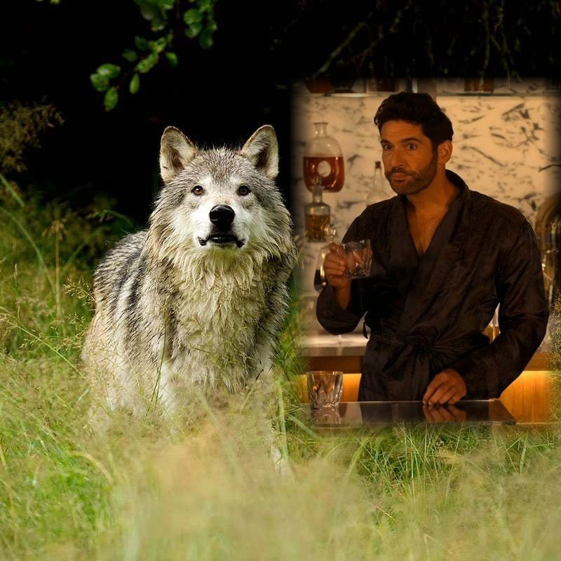 Kay Blackwell tweet media