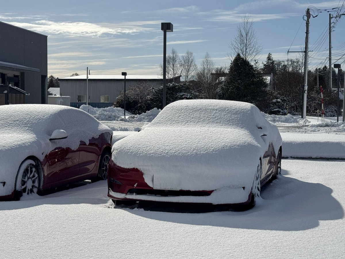 プルテウス tweet media