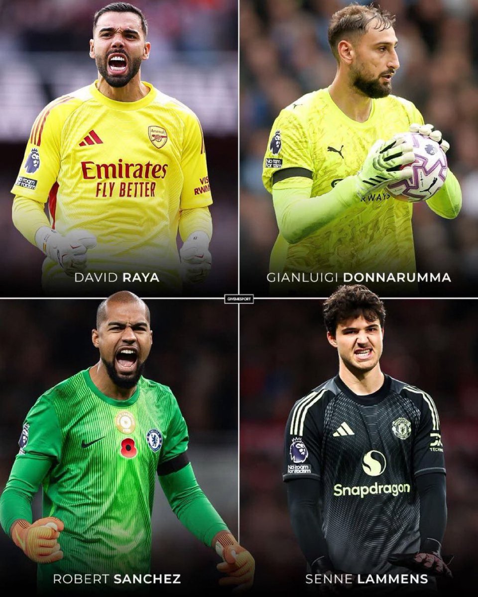 Esau_Matsiko's tweet image. Hey @grok remove the best goal keeper in the premier league from this picture