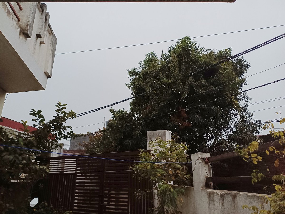 samvaish93's tweet photo. After just 2 days of some  #sunshine in #gonda #गोंडा,again #deeplayer of #upperfog is present #colday likely  ,seems like #evening before that ,last 16 days of #December were without sunshine and max temp was hovering in range of 11 to max 16 deg 🥶🥶 #coldblast #severewinter https://t.co/cjY9IoBnXW