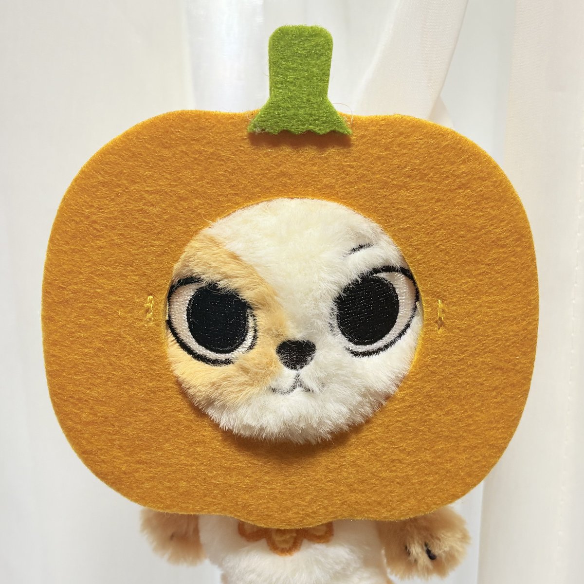 sy❤︎さま確認ページ なんでこっちもぴったりやねんwwwwwww