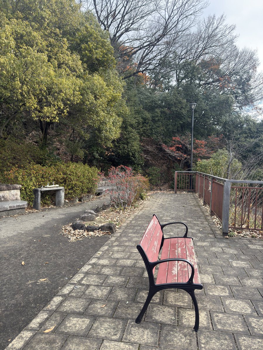 daruma171's tweet photo. 柳ヶ瀬商店街→ 粕森公園
ちょっと疲れてベンチで休んでました。思ったより眺め良かった！ https://t.co/Q9jltJarkS