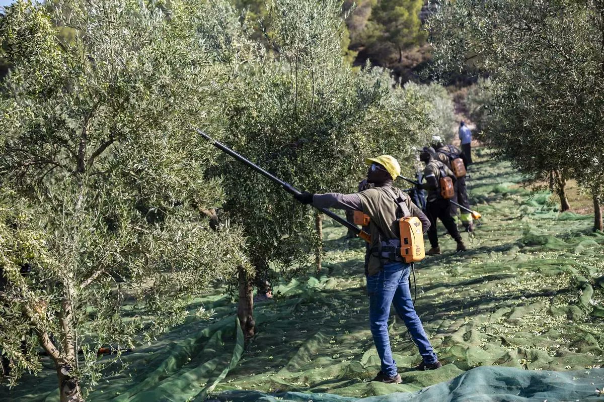 Jordi Bes Lozano tweet media