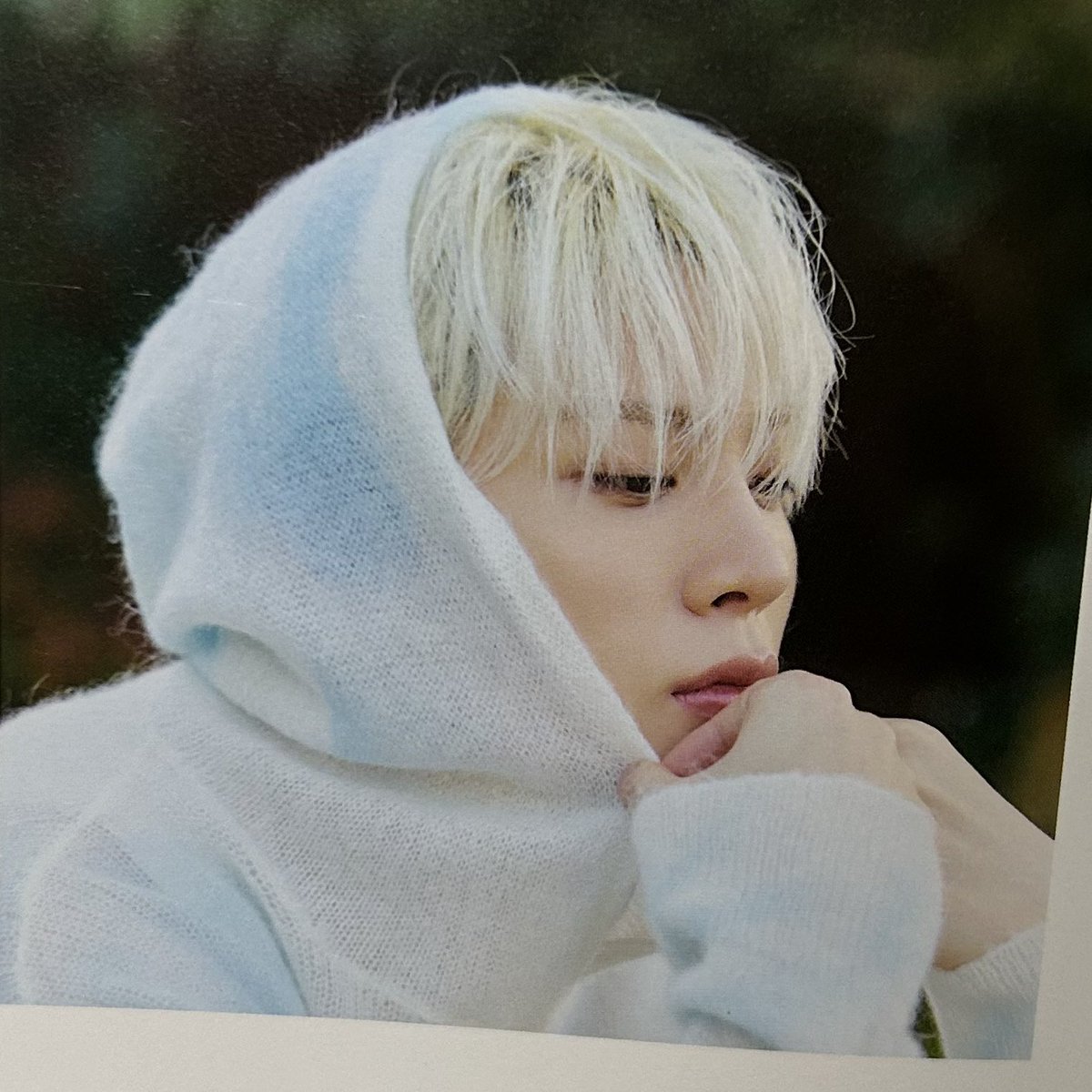 채현 tweet media